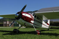 N3081B @ LOGO - Cessna 195 - by Loetsch Andreas