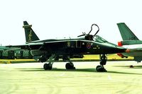 XX116 @ EGDY - Sepecat Jaguar GR.1A [S-9] (RAF) RNAS Yeovilton~G 15/07/1995 - by Ray Barber