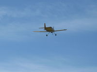 N406L photo, click to enlarge
