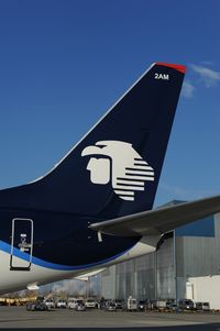 OE-LNS @ LOWW - Aeromexico Boeing 737-800 - by Dietmar Schreiber - VAP
