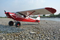 N2359P - Sheldon Cub restored by Wayne Mackey - by Dave Kirsten