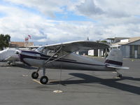 N3157N @ SZP - 1947 Cessna 120, Continental C85 85 Hp, at transient tiedown ramp - by Doug Robertson