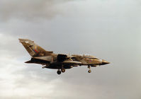 ZA601 photo, click to enlarge ZA601 photo, click to enlarge
