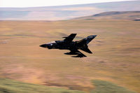 ZA367 photo, click to enlarge