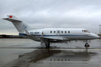 TC-DOY @ CGN - visitor - by Wolfgang Zilske