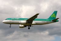 EI-DVN photo, click to enlarge EI-DVN photo, click to enlarge
