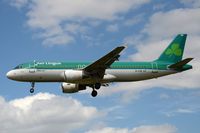 EI-CVB photo, click to enlarge EI-CVB photo, click to enlarge