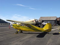 N83247 @ SZP - 1946 Aeronca 7AC CHAMPION, Continental A&C65 65 Hp - by Doug Robertson