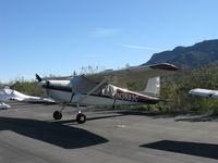 N3683C @ SZP - 1954 Cessna 180, Continental O-470-A 225 Hp - by Doug Robertson