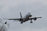 UNKNOWN @ EDDT - That brave little bird wasn´t impressed by big bird´s engine roar.... - by Holger Zengler