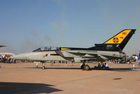 ZG753 @ EGVA - HH/111 Squadron (special markings) - by Howard J Curtis