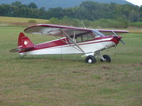 N949EW - PA 11 replica with many PA 18 type modifications powered by O200 with 9.5 pistons and electronic ignition. - by Edd Williams