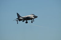N94422 @ KCJR - Slow speed pass with gear and flaps - Culpepeer Air Fest 2012