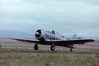N36CA @ KSHR - T-6 Texan LTA-584 at KSHR about 1982.