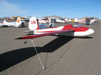 N3873A @ KCGZ - Gliders are not typically seen at the Cactus fly in.  But three were present for this years event.  They certainly are classics. - by 65flynn