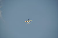 G-YYAK - Verticale show - by AMB carrelages