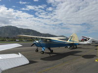 N3631P @ SZP - 1956 Piper PA-22-150 TRI-PACER, Lycoming O-320-A1A 150 Hp - by Doug Robertson