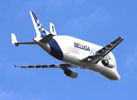 F-GSTA @ LFBO - Airbus A300-605ST Beluga takes to the skies after departure from Toulouse Blagnac Airport (LFBO-TLS) - by Yves-Q