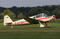 D-EFOH photo, click to enlarge