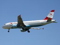 OE-LBO photo, click to enlarge