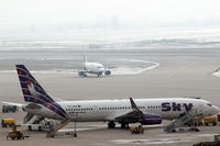 TC-SKN photo, click to enlarge TC-SKN photo, click to enlarge