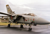 ZE734 photo, click to enlarge ZE734 photo, click to enlarge