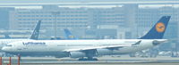 D-AIGF photo, click to enlarge