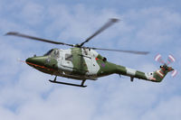 ZD559 photo, click to enlarge ZD559 photo, click to enlarge