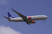 LN-RGA photo, click to enlarge LN-RGA photo, click to enlarge