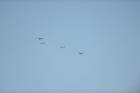 N354DG - flying in formation above American River College - by mike mcCarthy