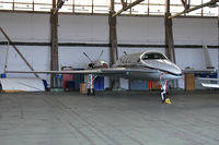 N8244L @ EDAY - Visit to central Europe, seen at airport Strausberg near Berlin. - by Tomas Milosch