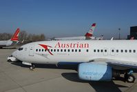 OE-LNP @ LOWW - Austrian Airlines Boeing 737-800 - by Dietmar Schreiber - VAP
