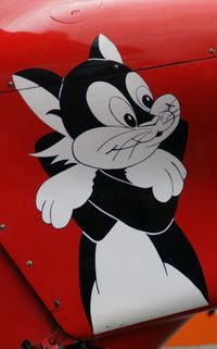 OO-KAT @ EBAW - 23 rd Stampe Fly in.Close up Cat. - by Robert Roggeman