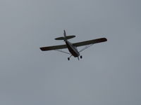 N1603G photo, click to enlarge