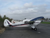 N6090U @ SZP_ - 1995 Aviat A-1 HUSKY, Lycoming O-360-A1D 180 Hp, will banner-tow today - by Doug Robertson