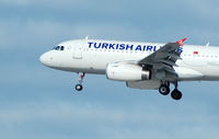 TC-JLZ @ EGPH - Arriving from Istanbul.