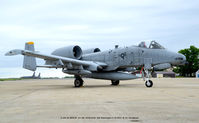 82-0656 @ ADW - Warthog - by J.G. Handelman