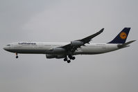 D-AIGN @ EDDF - Lufthansa Airbus A340