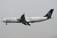 D-AIGC @ EDDF - Lufthansa Airbus A340
