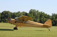 N78500 @ 88C - Piper J3C-65 - by Mark Pasqualino