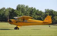 N6113H @ 88C - Piper J3C-65 - by Mark Pasqualino
