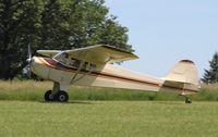 N96793 @ 88C - Taylorcraft BC12-D - by Mark Pasqualino