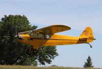 N38259 @ 88C - Piper J3F-65 - by Mark Pasqualino