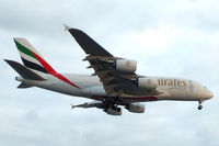 A6-EEA photo, click to enlarge A6-EEA photo, click to enlarge