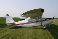 N62976 @ 7V3 - Bellanca 7ACA - by Mark Pasqualino