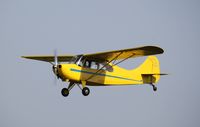 N3639E @ 7V3 - Aeronca 7AC - by Mark Pasqualino