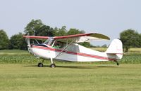 N62976 @ 7V3 - Bellanca 7ACA - by Mark Pasqualino