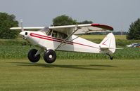 N3497M @ 7V3 - Piper PA-12 - by Mark Pasqualino