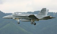 J-5017 @ LOXZ - Switzerland - Air Force McDonnell Douglas F/A-18C Hornet - by Andi F