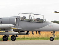 ES-TLE @ EHVK - Airforcedays , 14/15 June 2013 at Volkel AFB ; Skyline Aviation - by Henk Geerlings